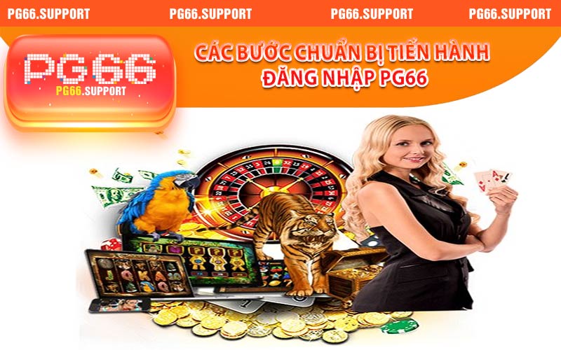 Các bước chuẩn bị tiến hành đăng nhập PG66