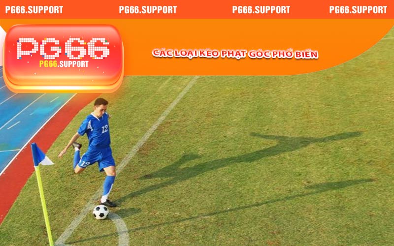 Các loại kèo phạt góc phổ biến nhất