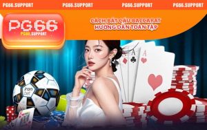Cách Bắt Cầu Baccarat