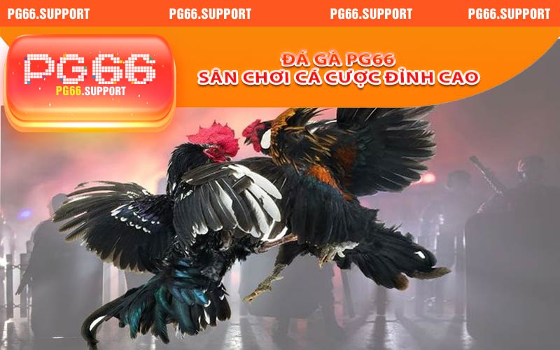 Đá Gà PG66