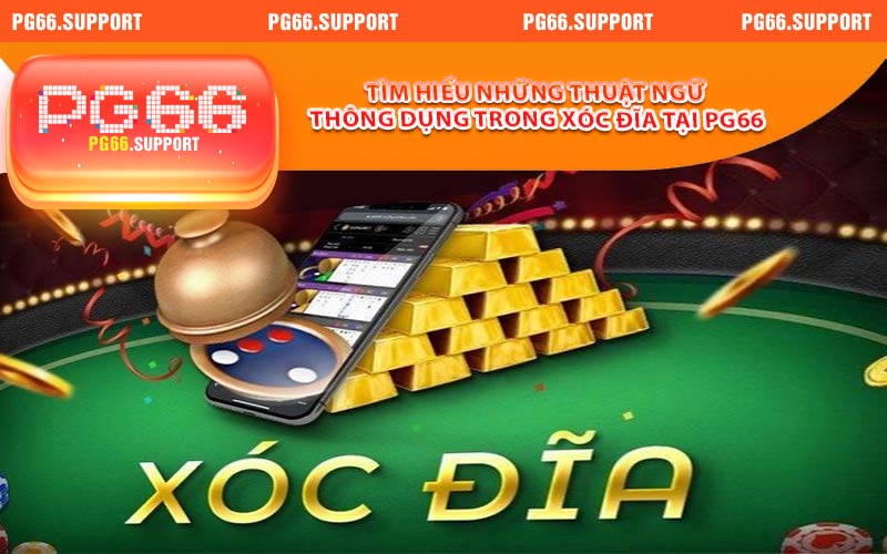 Tìm hiểu những thuật ngữ thông dụng trong xóc đĩa tại PG66