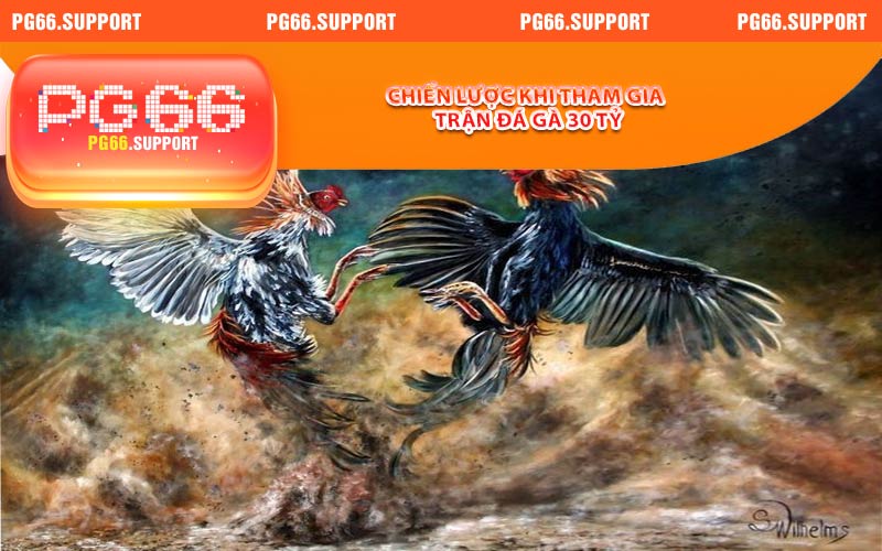 Chiến lược khi tham gia trận đá gà 30 tỷ
