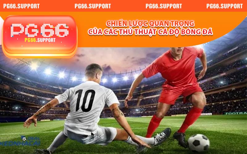 Chiến lược quan trọng của các thủ thuật cá độ bóng đá