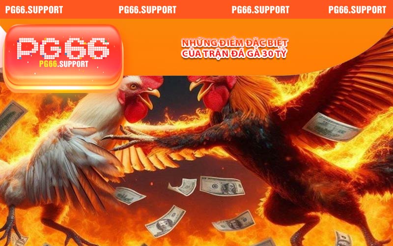 Những điểm đặc biệt của trận đá gà 30 tỷ