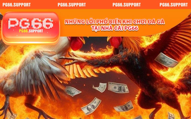 Những lỗi phổ biến khi chơi đá gà tại nhà cái PG66