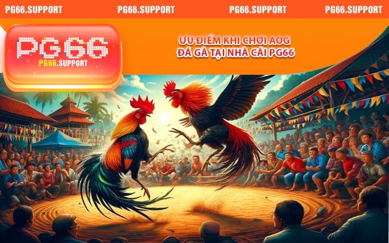 Ưu điểm khi chơi AOG đá gà tại nhà cái PG66